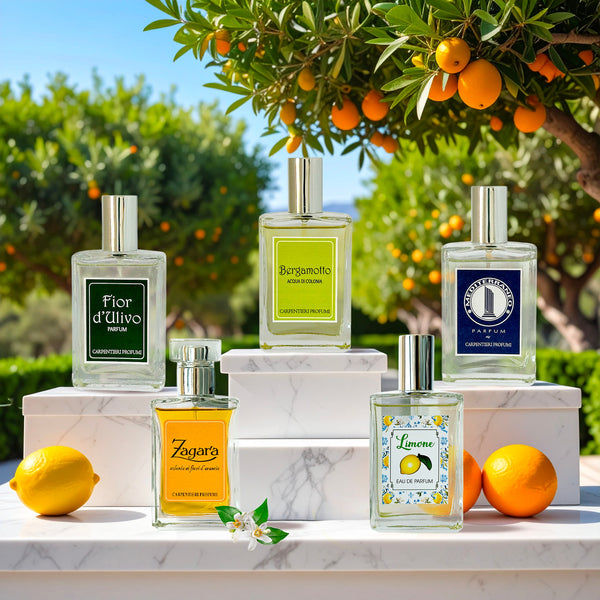alverde Set regalo cura corpo, profumo di vaniglia, 1 pz | dm Italia alverde Set regalo cura corpo, profumo di vaniglia, 1 pz | dm Italia